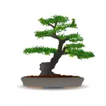 Bonsai drzewo wektorowej