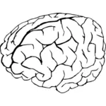 सफेद और काले में मानव मस्तिष्क के सदिश ग्राफिक्स