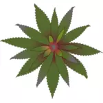 Floare verde Bromelia