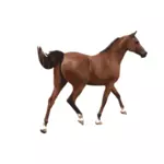 Ilustracja wektorowa kolorowy mężczyzna konia