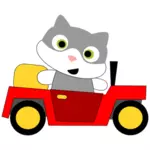 Kočka, řídit auto