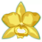 Cattleya galben