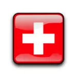 İsviçre bayrağı düğmesi