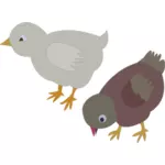 Ilustración de vector de dos gallinas colores viajando por