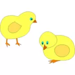 Vector de la imagen de dos polluelos amarillos roaming alrededor