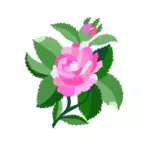 Design para rosa de Damasco