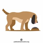 Hund, der Futter isst