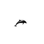 海豚矢量绘图