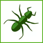 Zelený pavouk vektorové kreslení