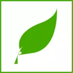 Icône de vecteur Eco feuille verte