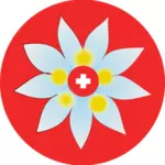 스위스 십자가 꽃