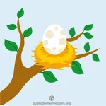Yuvada bir yumurta