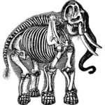Fil iskeleti