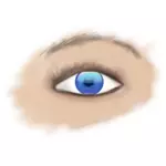 Modré oko, kresba