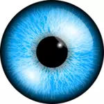 Imagen vectorial de ojo azul