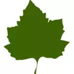 Zelený podzimní listí vektorové kreslení