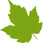 绿色的枫树叶矢量图像