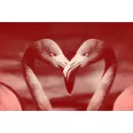 Flamingos i hjärta form
