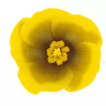 아름 다운 노란 꽃