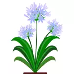 Modré květy vektorový obrázek