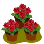 Garnki z różami
