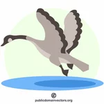 Latająca kaczka