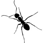 与长腿的轮廓矢量 graohics 蚂蚁