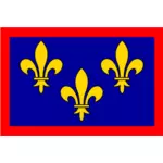צרפת אנז'ו אזור הדגל בתמונה וקטורית