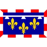 Centrum-Val-de-Loire regionen flagga vektorgrafik