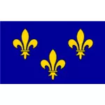 Флаг региона Иль де Франс векторной графики