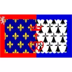 Pays de la Loire regionu vlajka vektorový obrázek