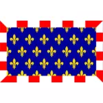 Touraine região bandeira imagem vetorial