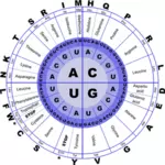 Imagem vetorial de código genético de RNA