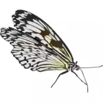 Desenho curta vetorial de borboleta