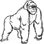 Gorill lijn kunst vector afbeelding