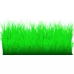 Uzun yeşil çimenler