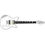 इलेक्ट्रिक गिटार के वेक्टर छवि