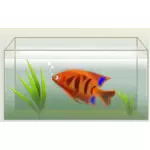 Orange ryb w akwarium ilustracji wektorowych