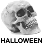 Image de vecteur pour le crâne Halloween