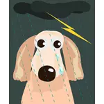 Грустная собака в дождь
