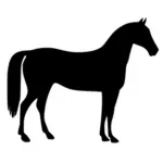 Ilustracja koń sylwetka wektor