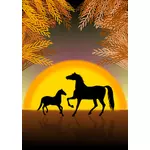 Paarden bij zonsondergang