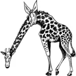 Girafa com pescoço ferido