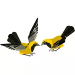 黄色和黑色的鸟向量剪贴画