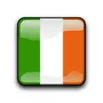 ' דגל ' אירלנד