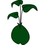 Vektor Klipart rostlin s třemi tmavě zelené listy