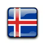 İzlanda bayrağı düğmesi