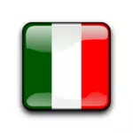 ' דגל ' איטליה
