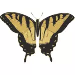 Imagem vetorial de borboleta de padrão tigre