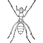 Clip-art vector de formiga com seis pernas